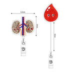 Anatomy Retractable Nurse Badge Reel, Clip Badge Holder, ID Card Holder