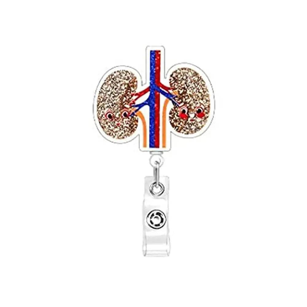 Anatomy Retractable Nurse Badge Reel, Clip Badge Holder, ID Card Holder kidney
