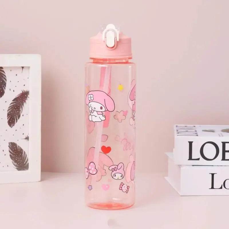 800ML Sanrio Cartoon Water Bottle for Staying Hydrated in Style