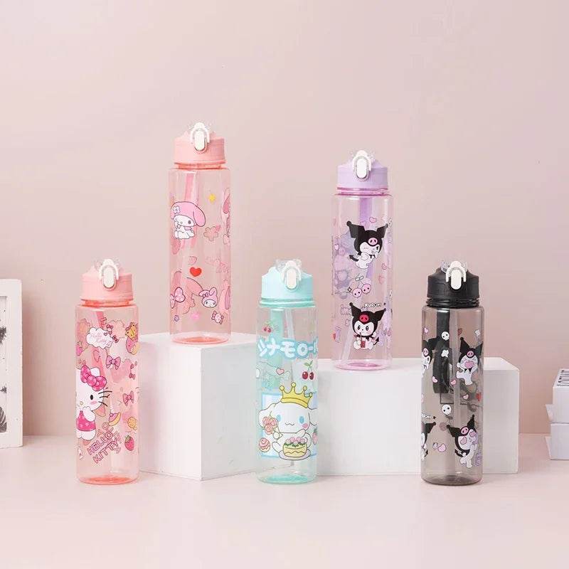 800ML Sanrio Cartoon Water Bottle for Staying Hydrated in Style