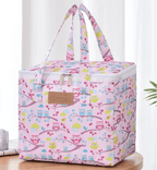 Portable Lunch Bag New Thermal Insulated Lunch Box Tote Cooler Functional Handbag Student Bento Pouch School Food Storage Bags owl